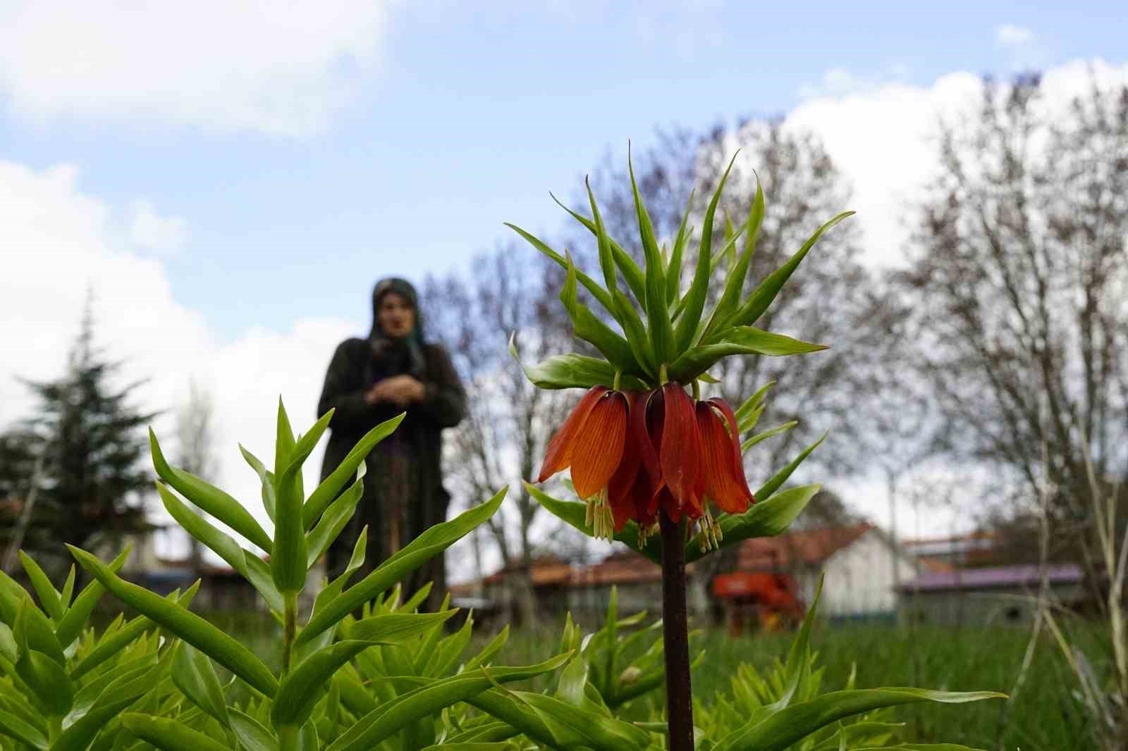 Ağlayan gelinler 5 yıl sonra baharı karşıladı
