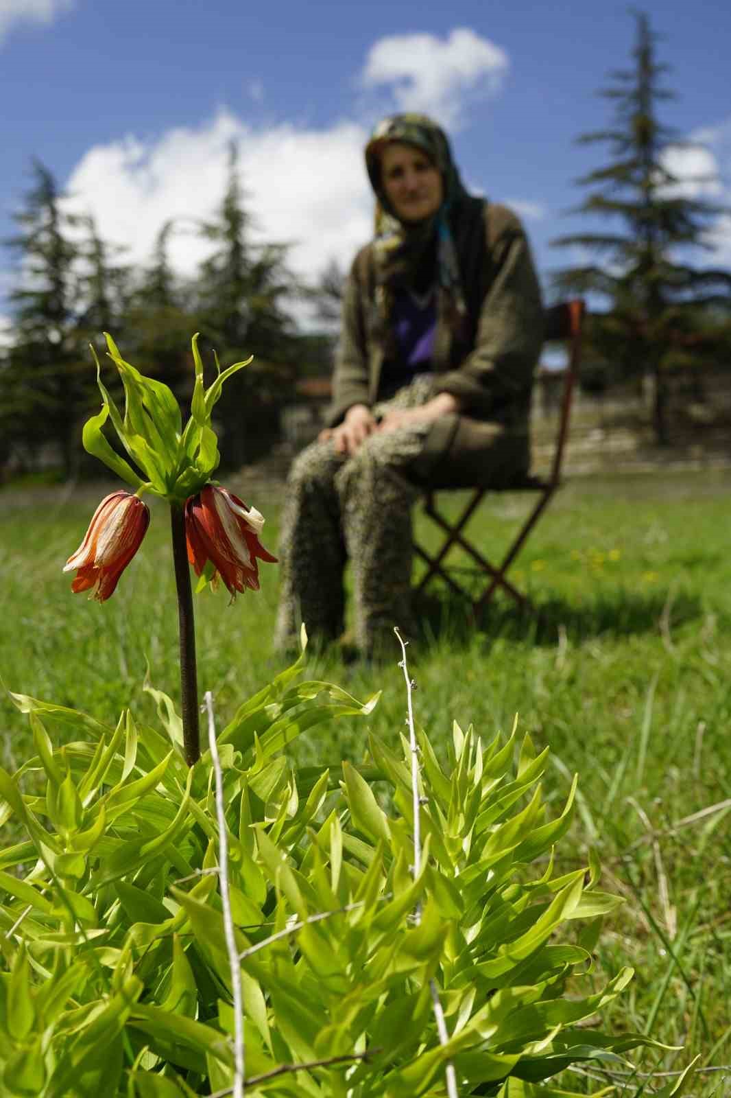 Ağlayan gelinler 5 yıl sonra baharı karşıladı
