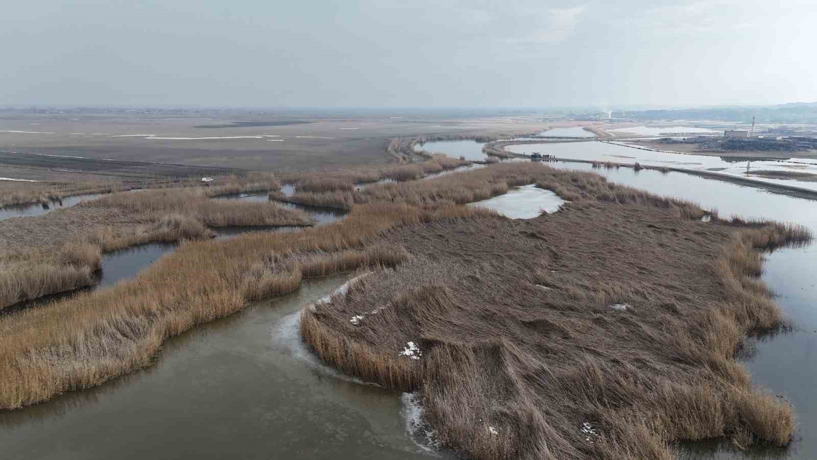 Ağrı Dağı Milli Parkı 200’ü aşkın kuş türüne ev sahipliği yapıyor
