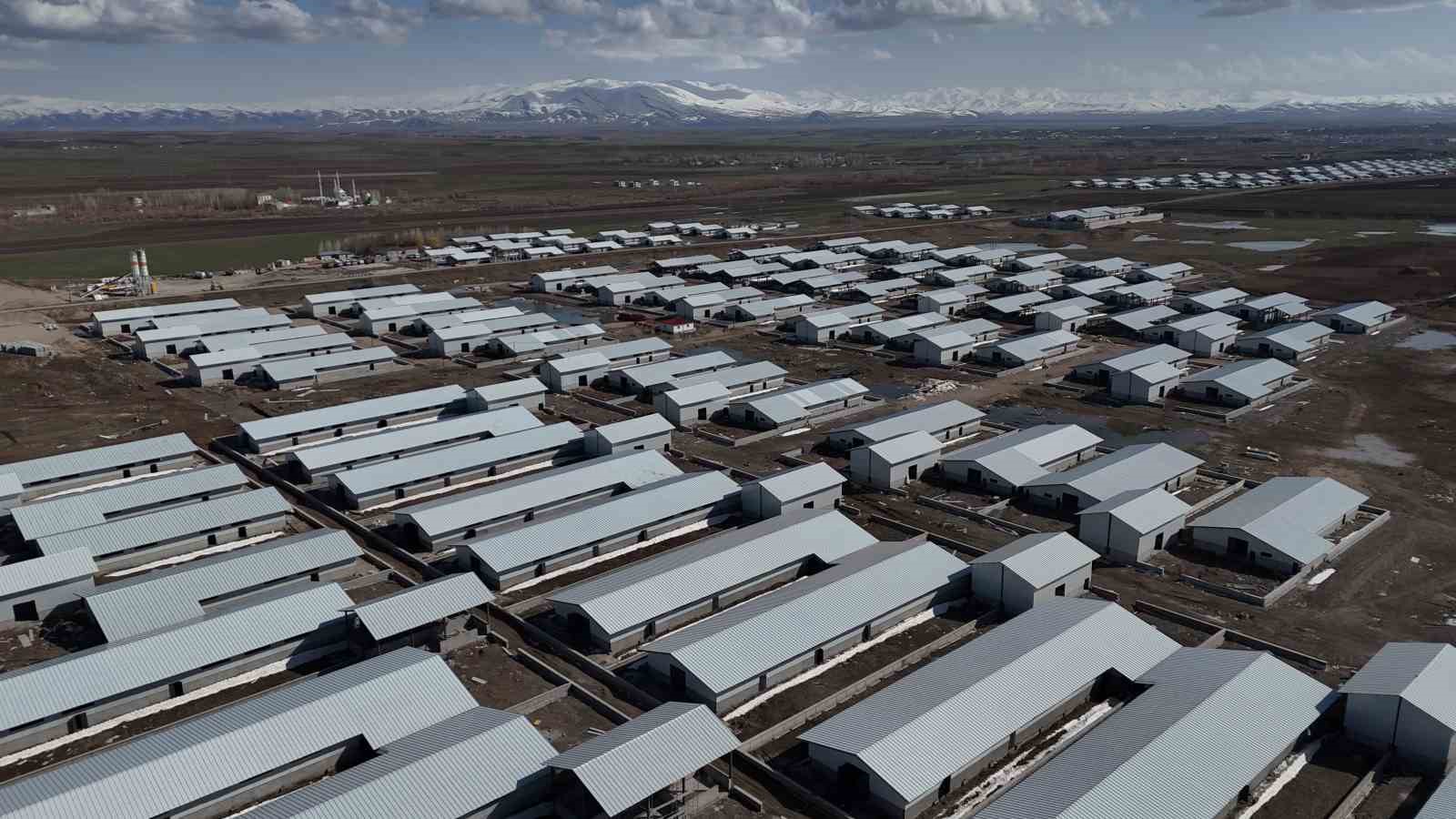 Ağrı’da 307 ahırlık hayvancılık üssü hayata geçiyor
