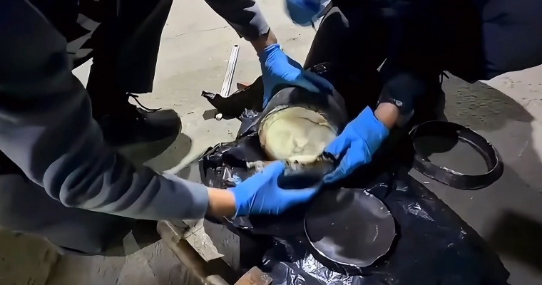 Ağrı’da 8,3 kilo metamfetamin ele geçirildi
