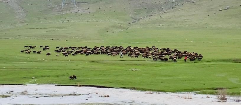 Ağrı’da iki mevsim bir arada
