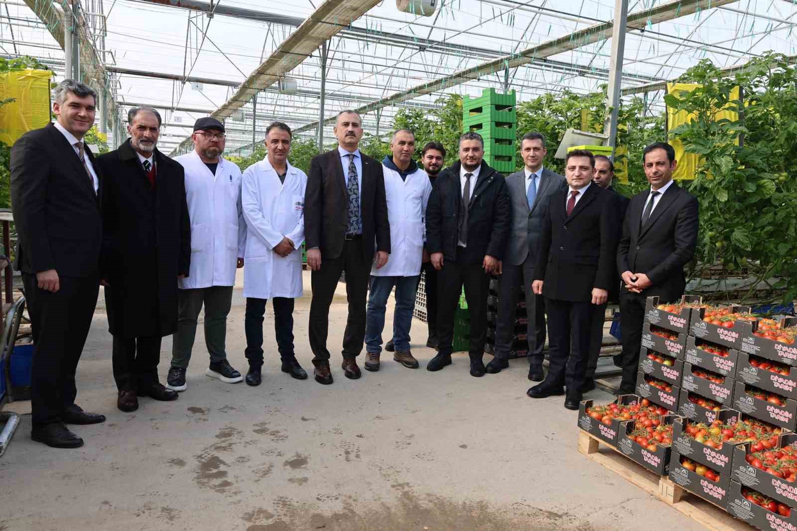 Ağrı’da, jeotermal serada üretilen ürünler Avrupa pazarına açılıyor
