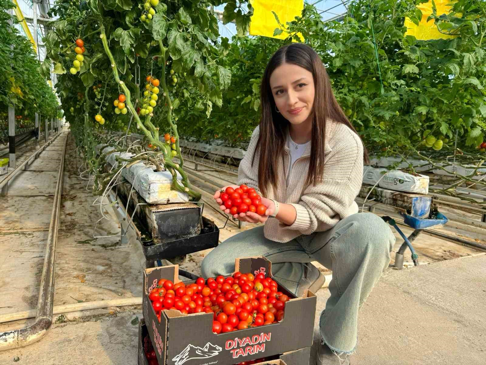 Ağrı’da, jeotermal serada üretilen ürünler Avrupa pazarına açılıyor
