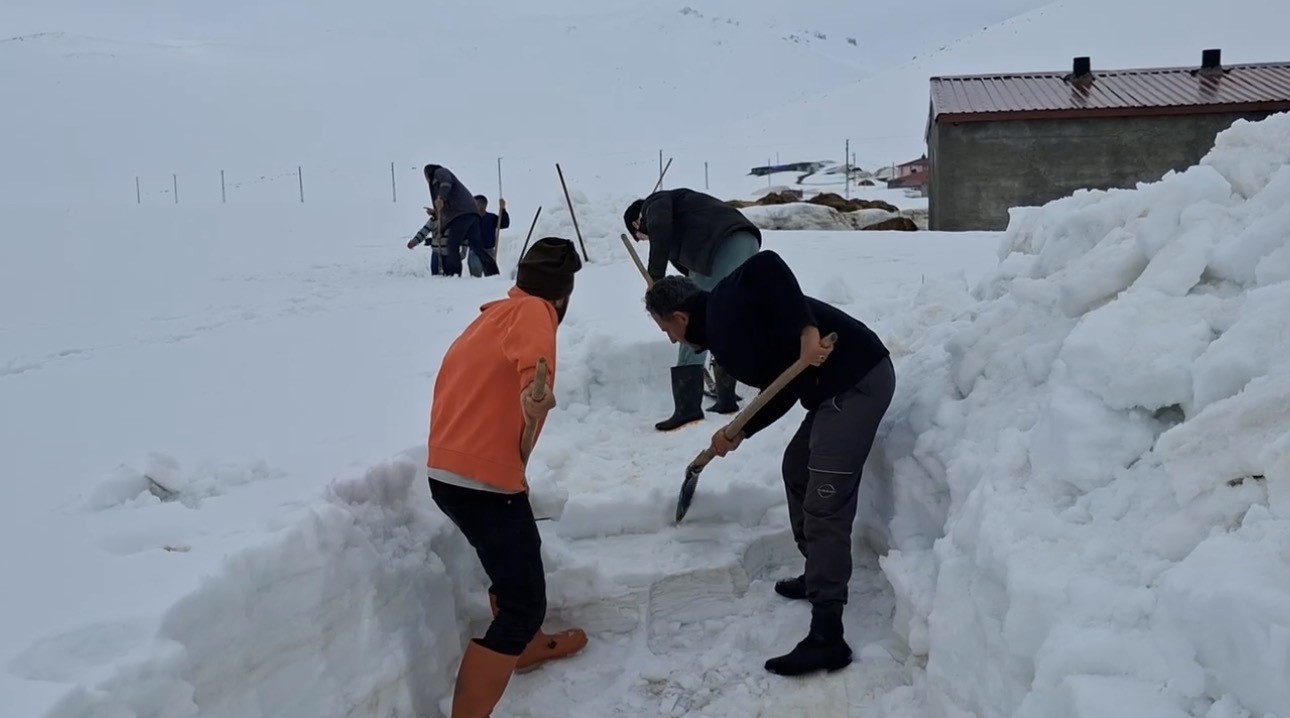 Ağrı’da köylüler sel riskine karşı karı kürekle yararak su yolu açtı
