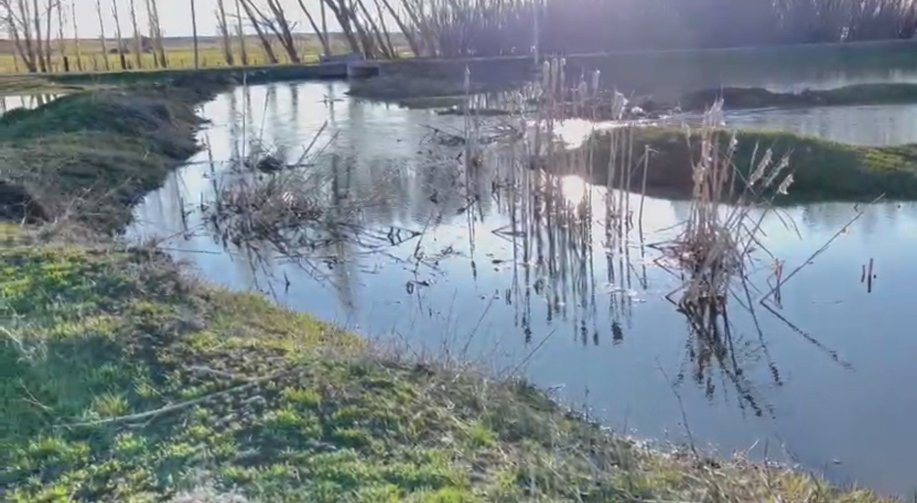 Ağrı’da sağanak nedeniyle dereler taştı
