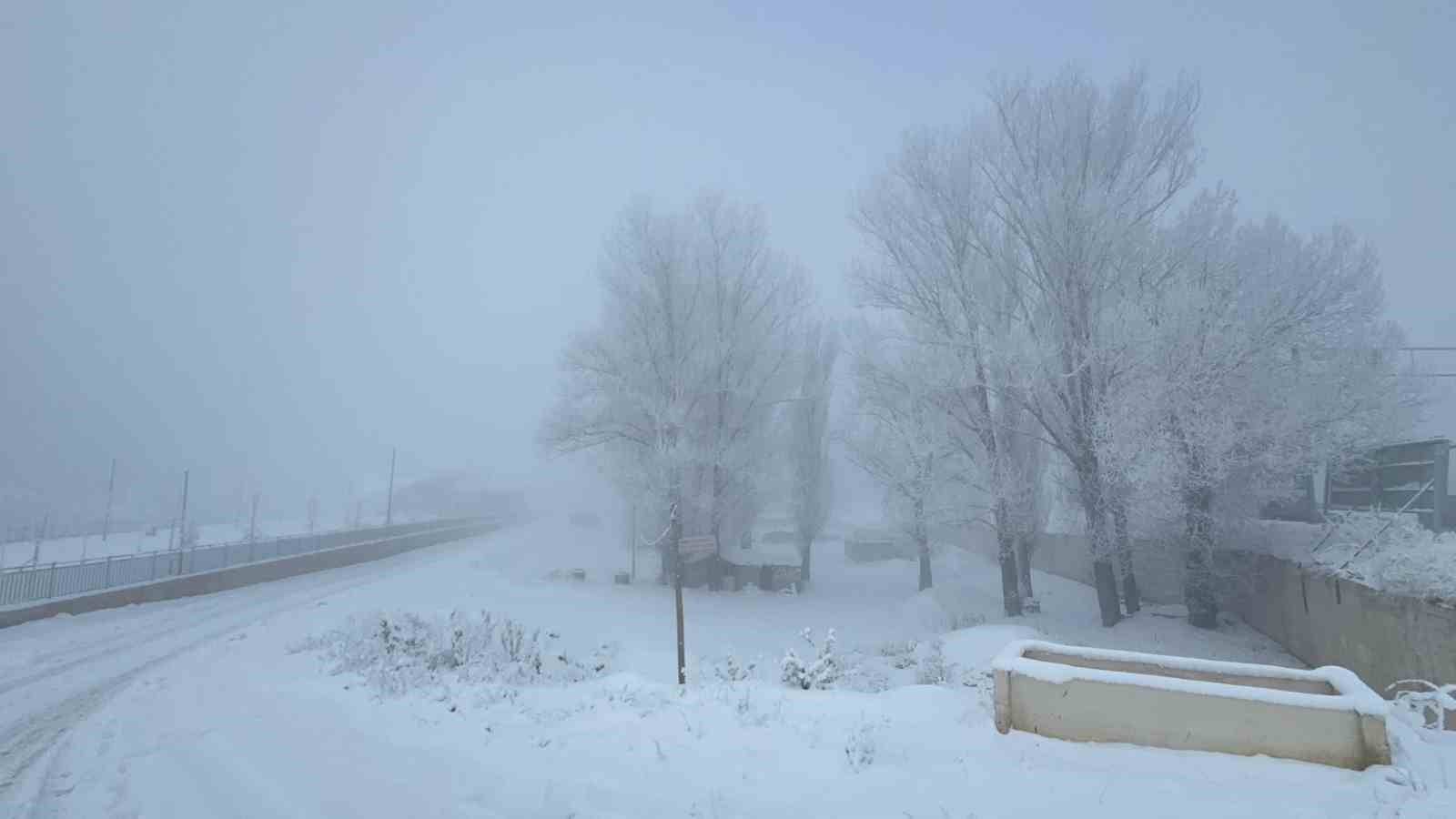 Ağrı’da Sibirya soğukları hayatı durma noktasına getirdi
