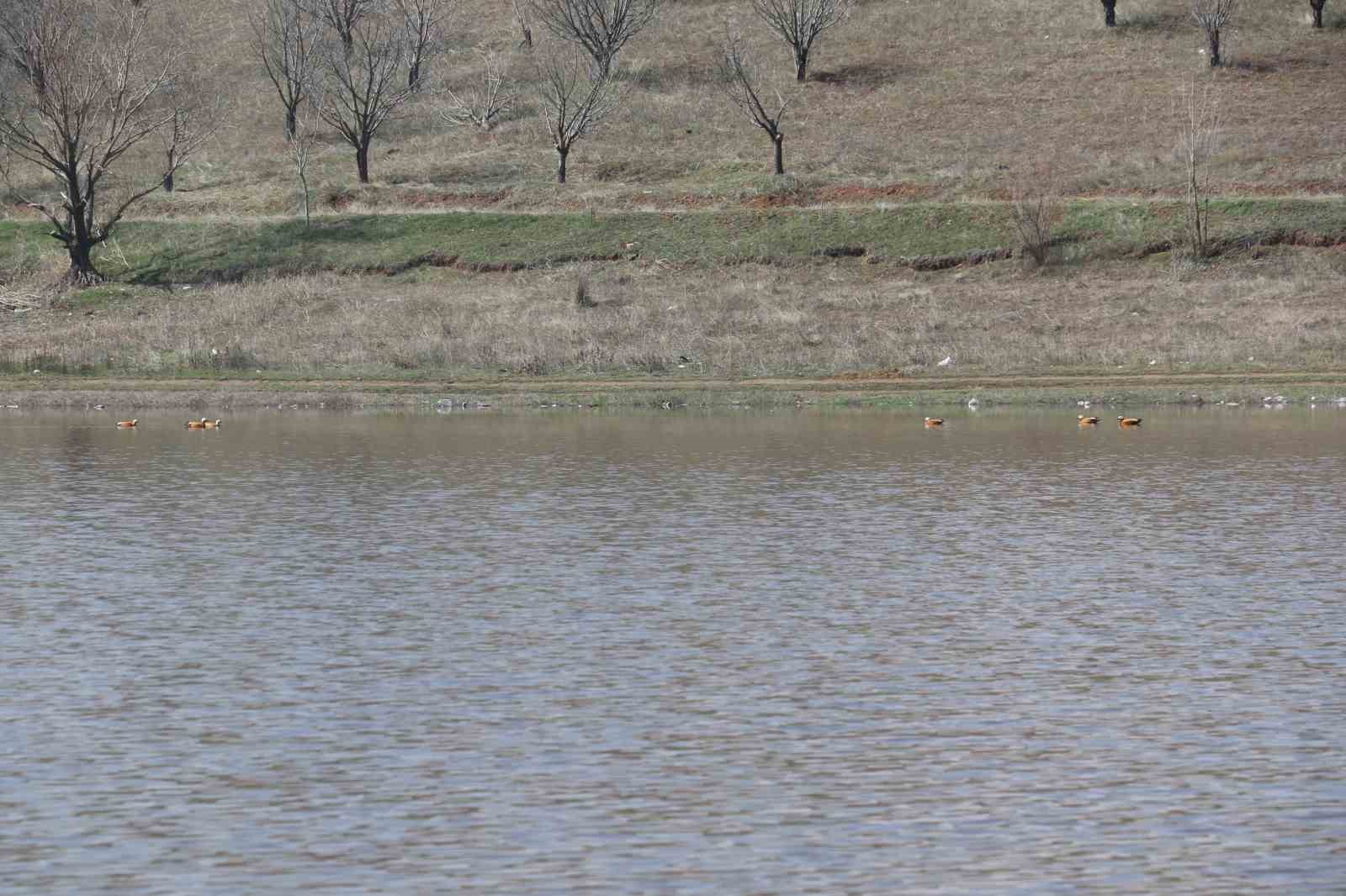 Ağustos ayında kurumaya başlayan Kızılca göleti yeniden doldu
