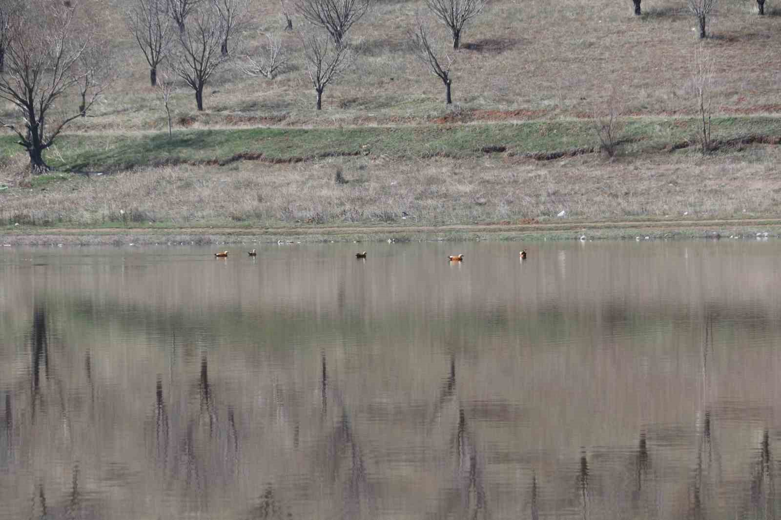 Ağustos ayında kurumaya başlayan Kızılca göleti yeniden doldu
