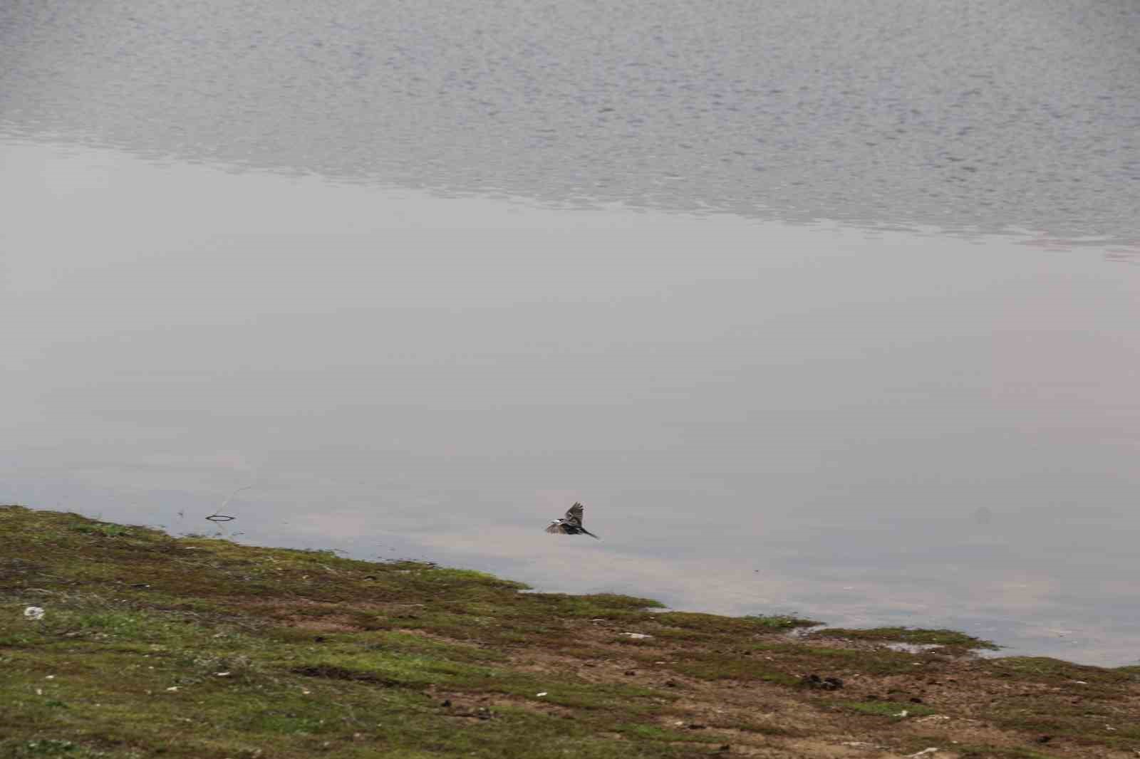 Ağustos ayında kurumaya başlayan Kızılca göleti yeniden doldu
