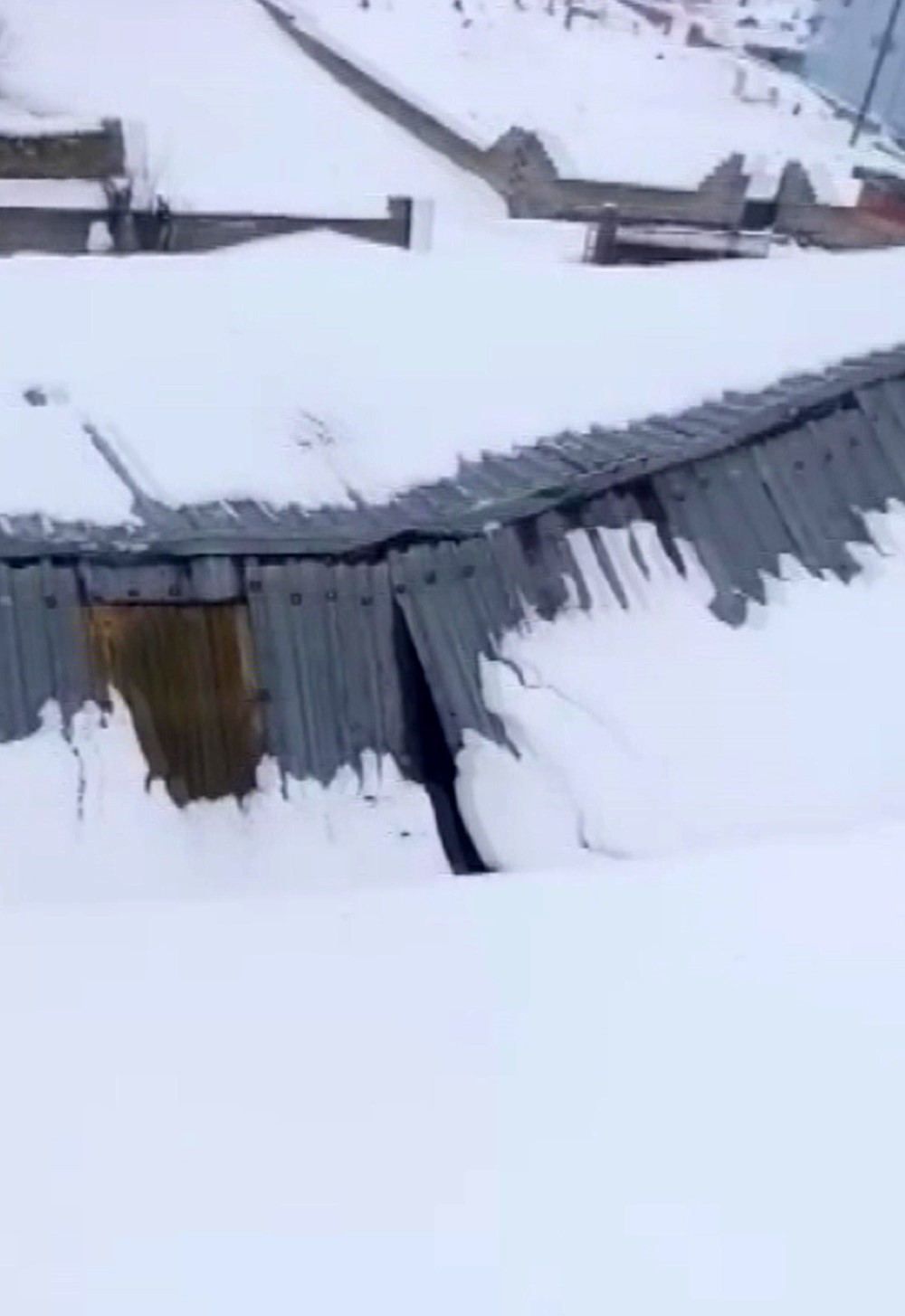 Ahırın çatısı yağan karın ağırlığını taşıyamadı, hayvanlar komşuların yardımıyla kurtarıldı

