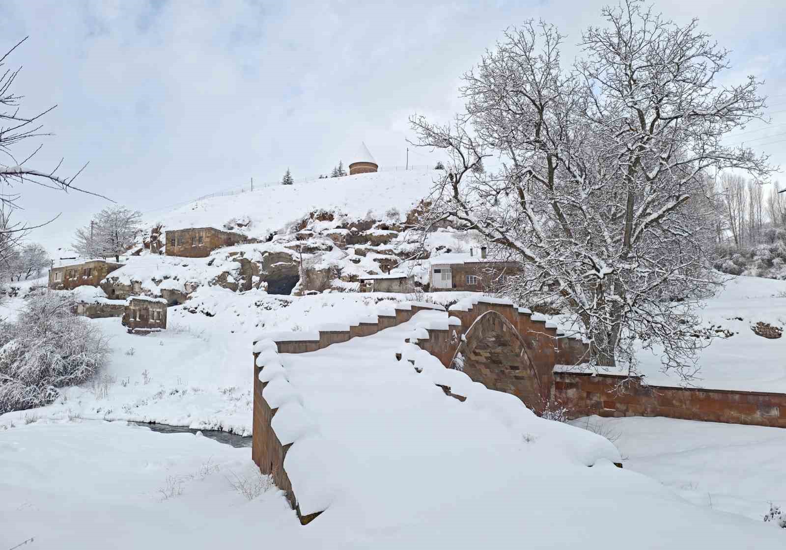 Ahlat’ta masalsı kış manzaraları
