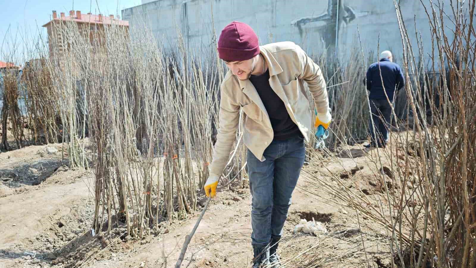 Ahlat’ta meyve fidanlarına ilgi
