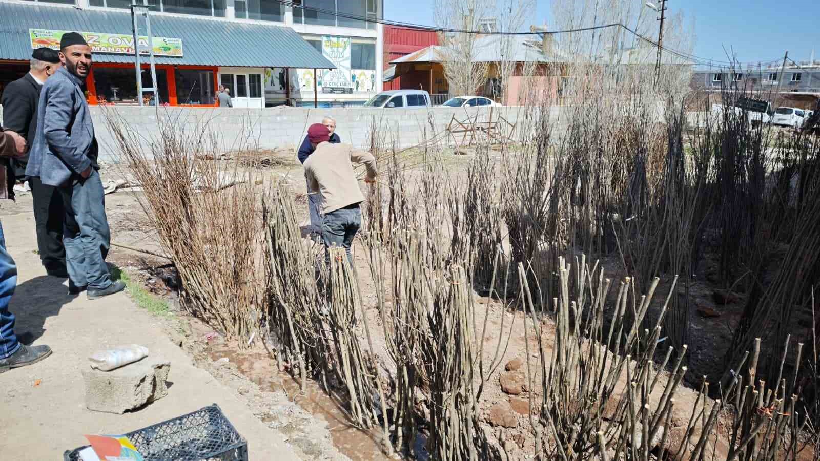 Ahlat’ta meyve fidanlarına ilgi
