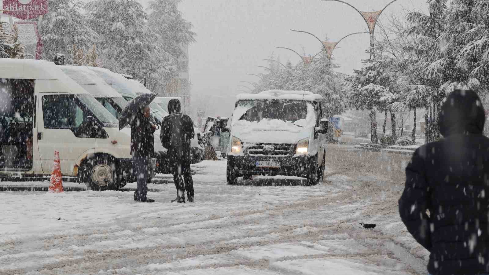 Ahlat’ta nisan karı etkili oldu
