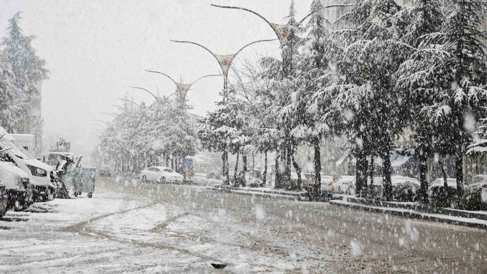 Ahlat’ta nisan karı etkili oldu
