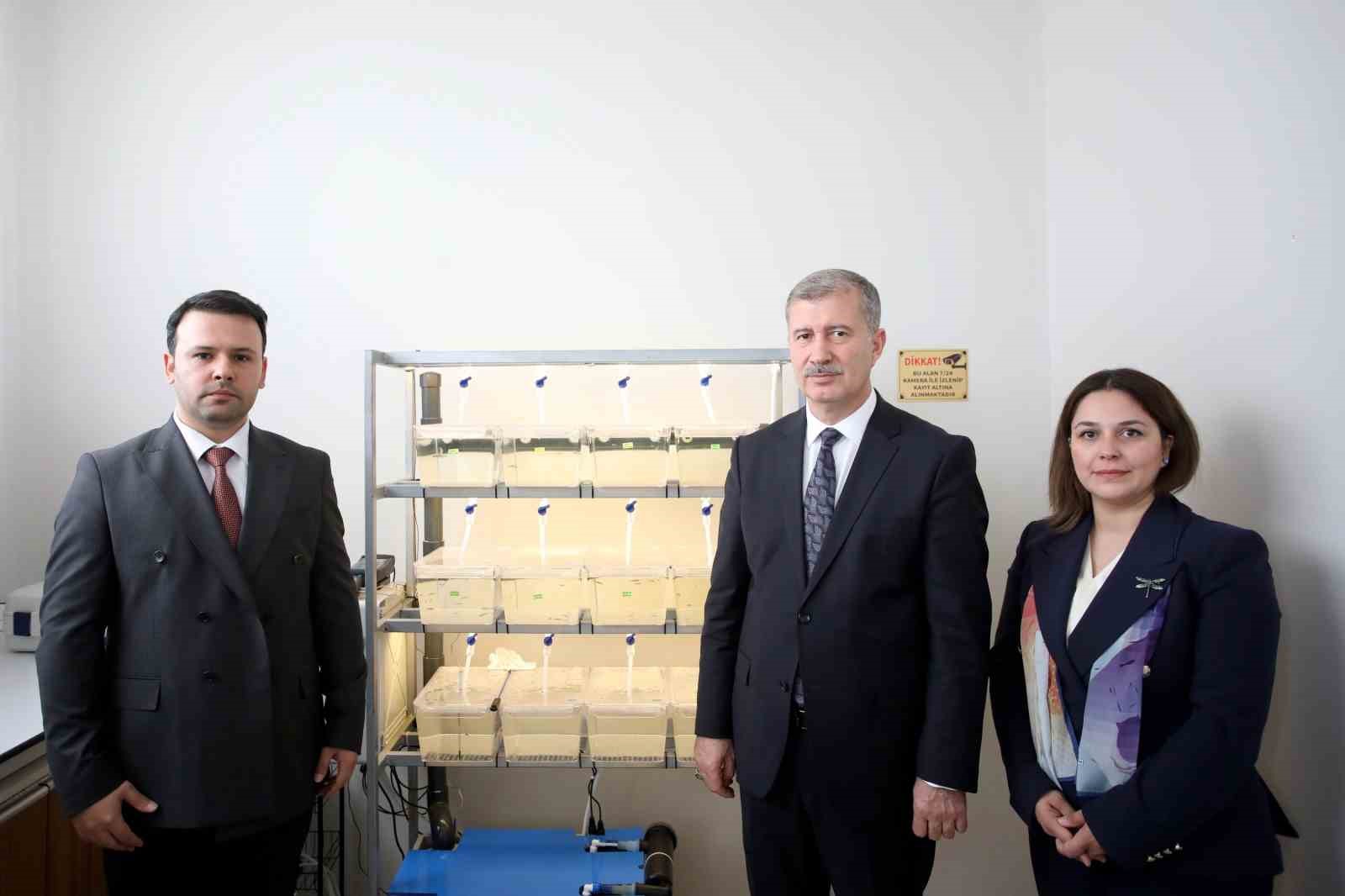 AİÇÜ’de zebra balığı translasyonel tıp araştırma laboratuvarı açıldı
