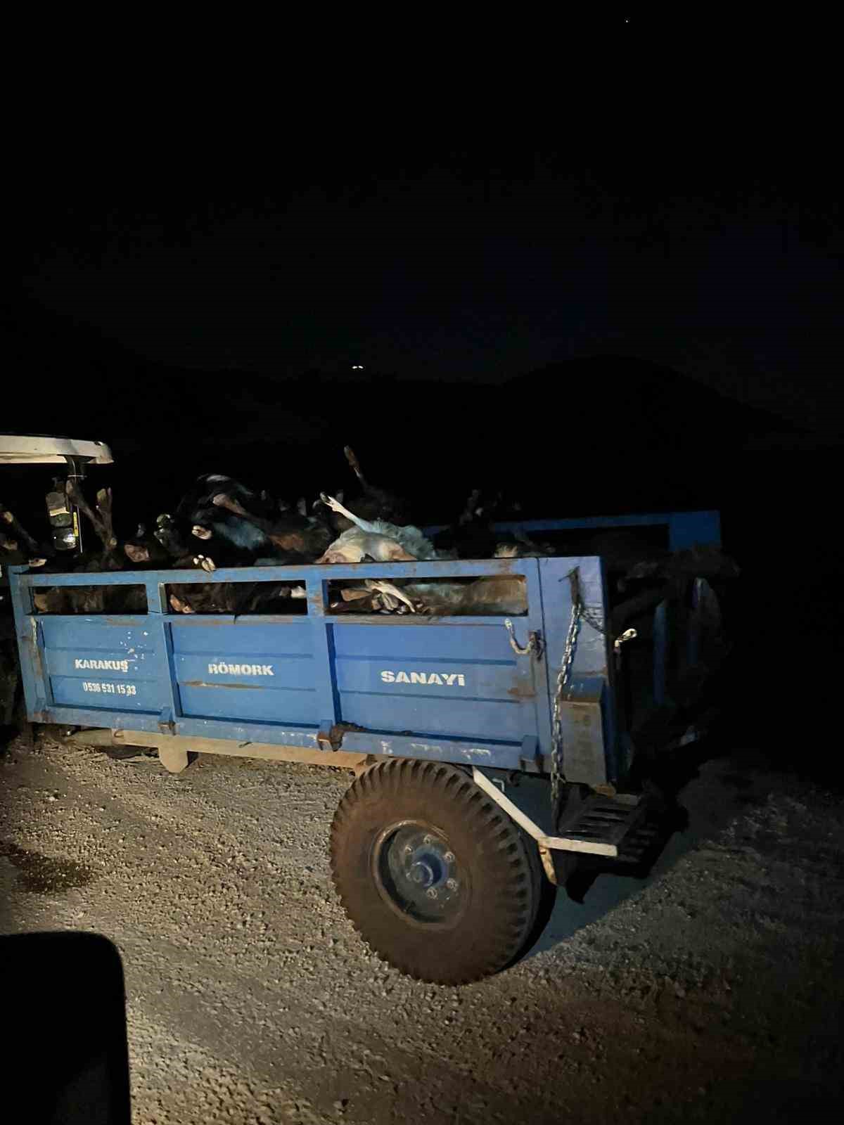 Akaryakıt karıştığı iddia edilen yağmur suyu birikintisinden su içen 43 küçükbaş hayvan telef oldu
