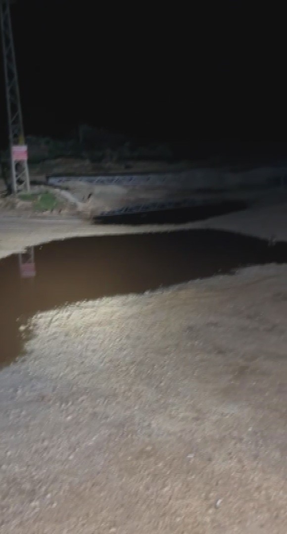 Akaryakıt karıştığı iddia edilen yağmur suyu birikintisinden su içen 43 küçükbaş hayvan telef oldu
