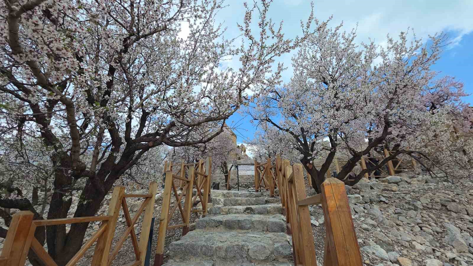 Akdamar Adası’nda 23 Nisan yoğunluğu
