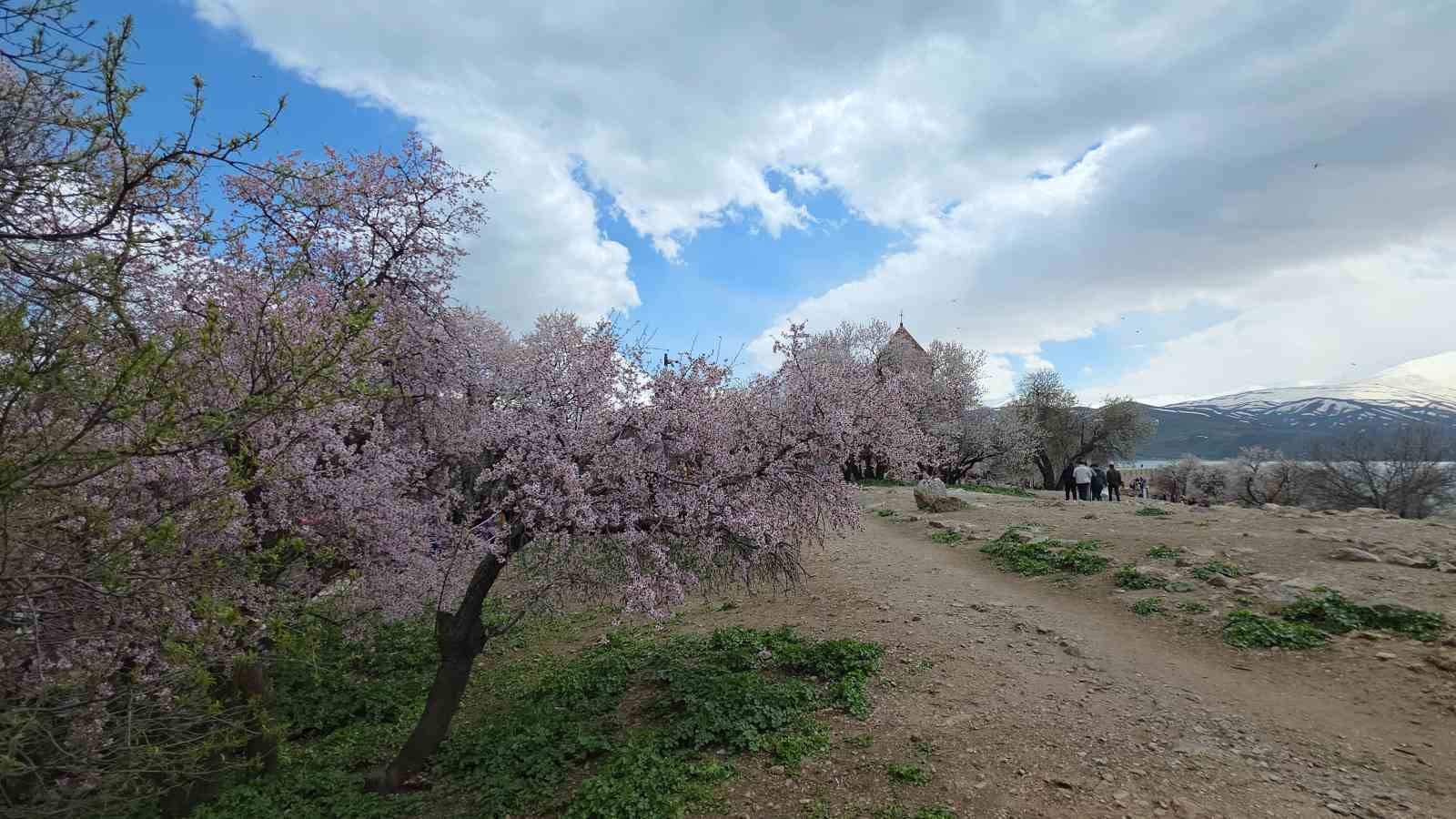 Akdamar Adası’nda renk cümbüşü
