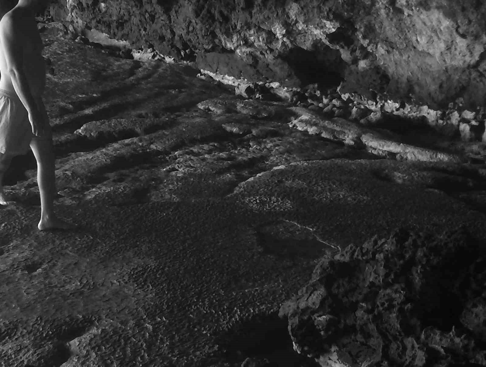 Akdeniz keşiş foku yaşam alanlarına insan baskısı
