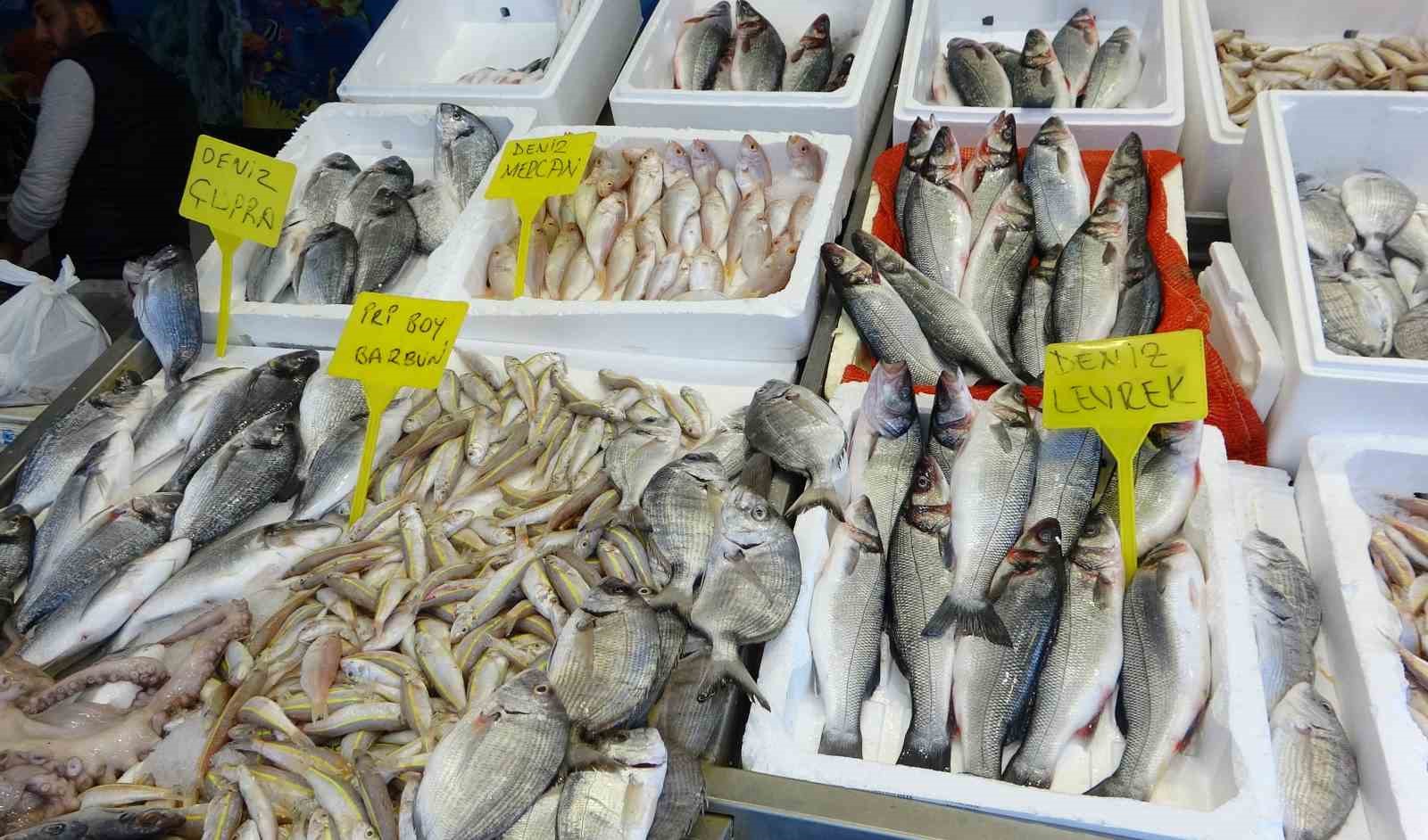 Akdeniz’de av yasağı başlıyor
Akdeniz’de av yasağı başlıyor