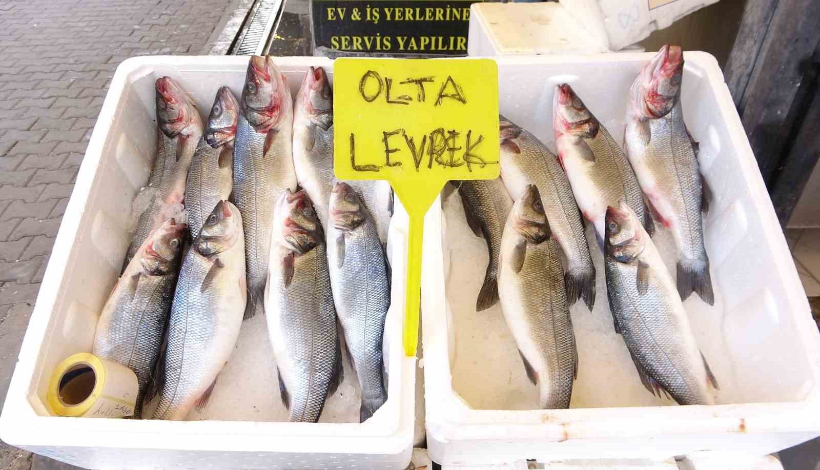 Akdeniz’de av yasağı başlıyor
Akdeniz’de av yasağı başlıyor