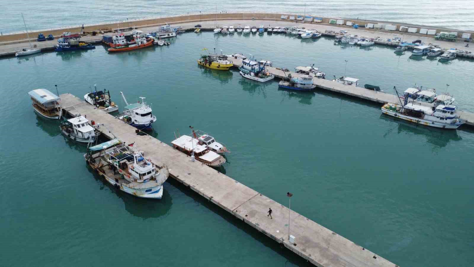 Akdeniz’de av yasağı başlıyor
Akdeniz’de av yasağı başlıyor