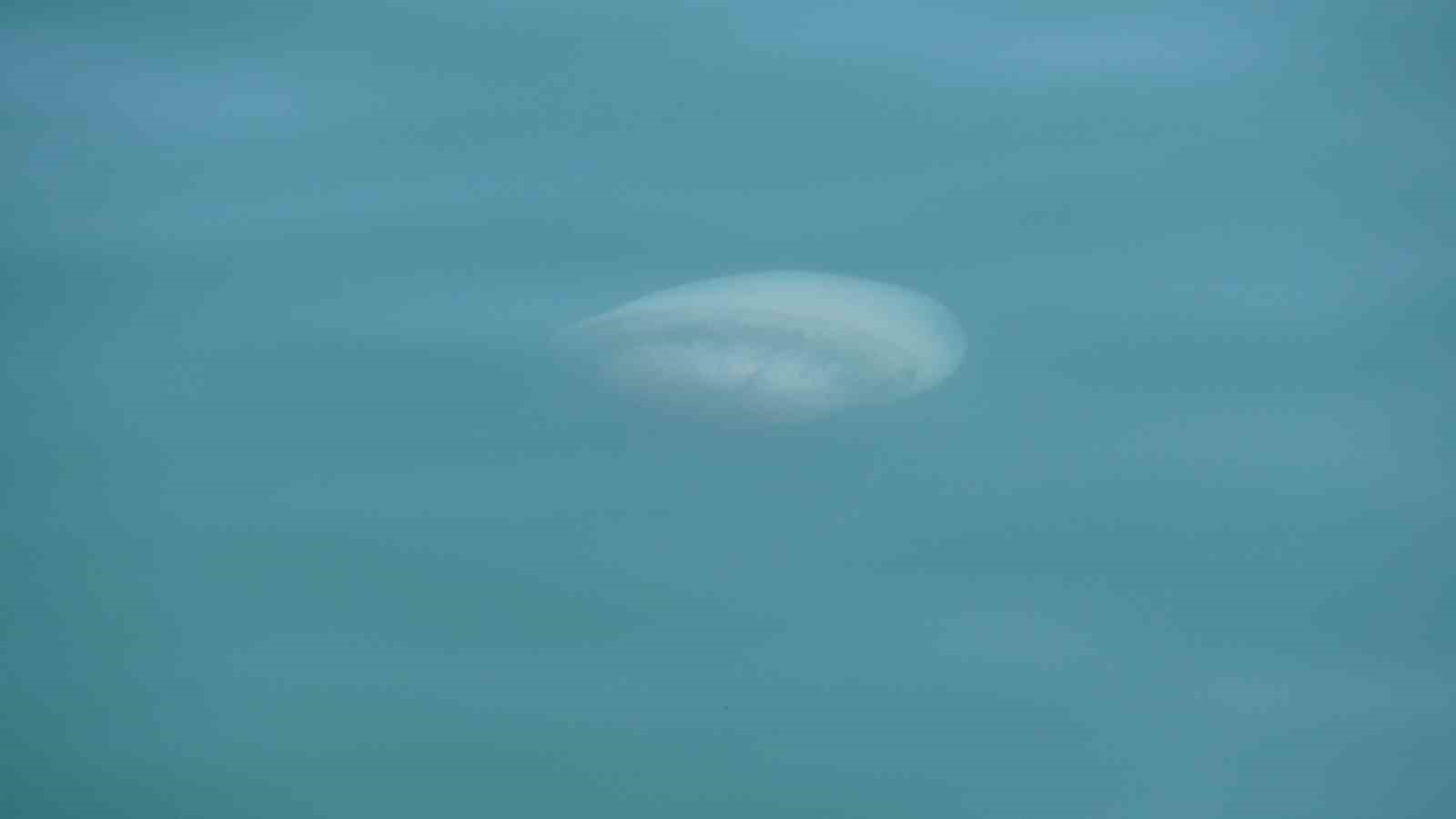 Akdeniz’deki zehirli denizanaları Mersin sahillerine vurdu
