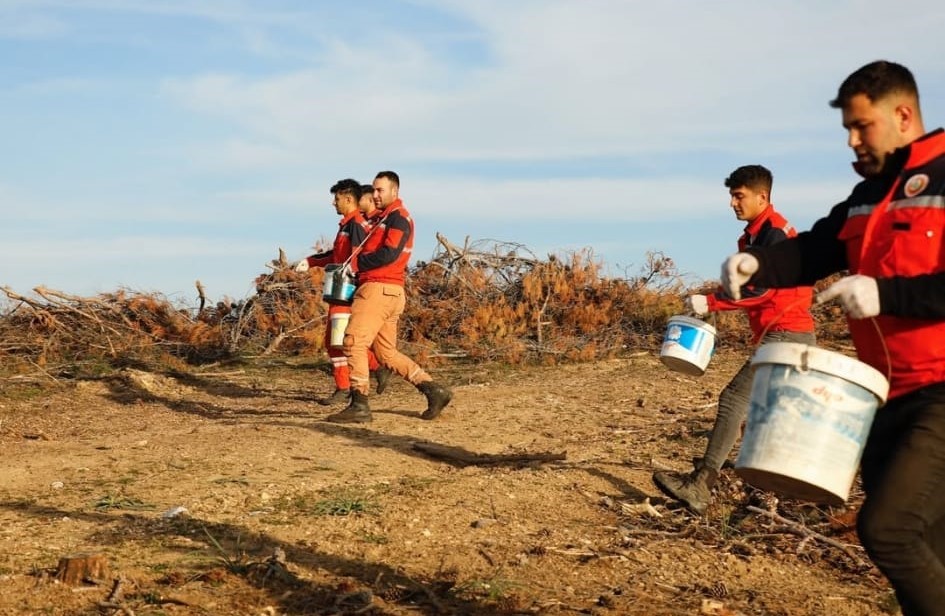 Akhisar’da yanan alanlar yeniden yeşeriyor: 2 milyon 325 bin fidan toprakla buluşacak
