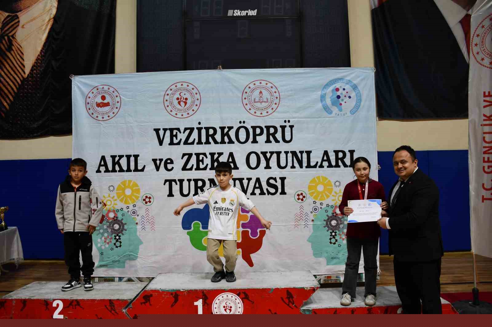 Akıl ve Zekâ Oyunları Turnuvası
