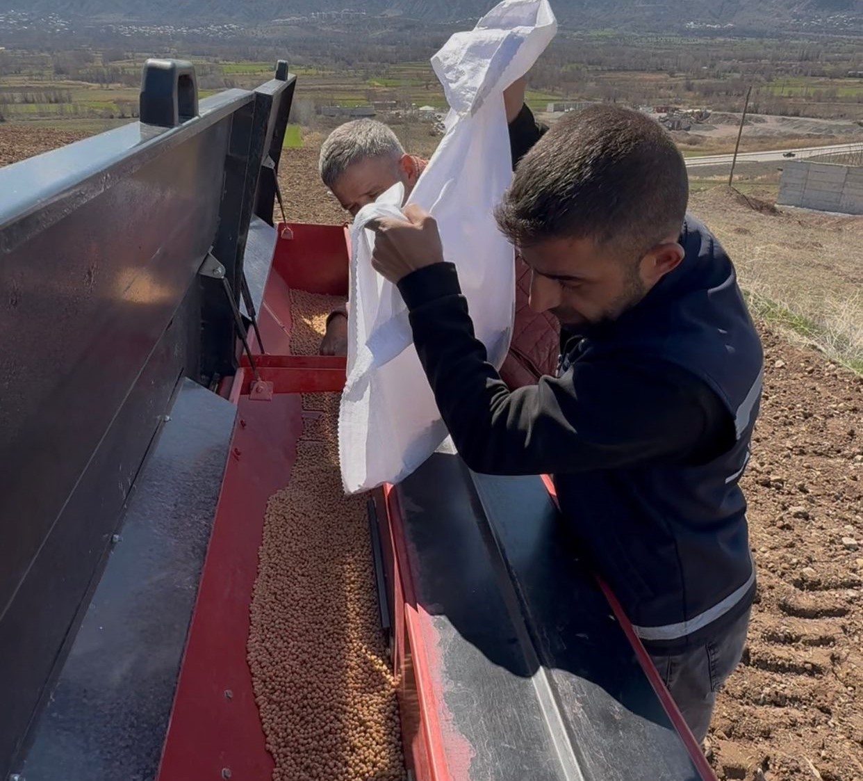 Akıncılar Belediyesi, nohut tohumlarını toprakla buluşturdu
