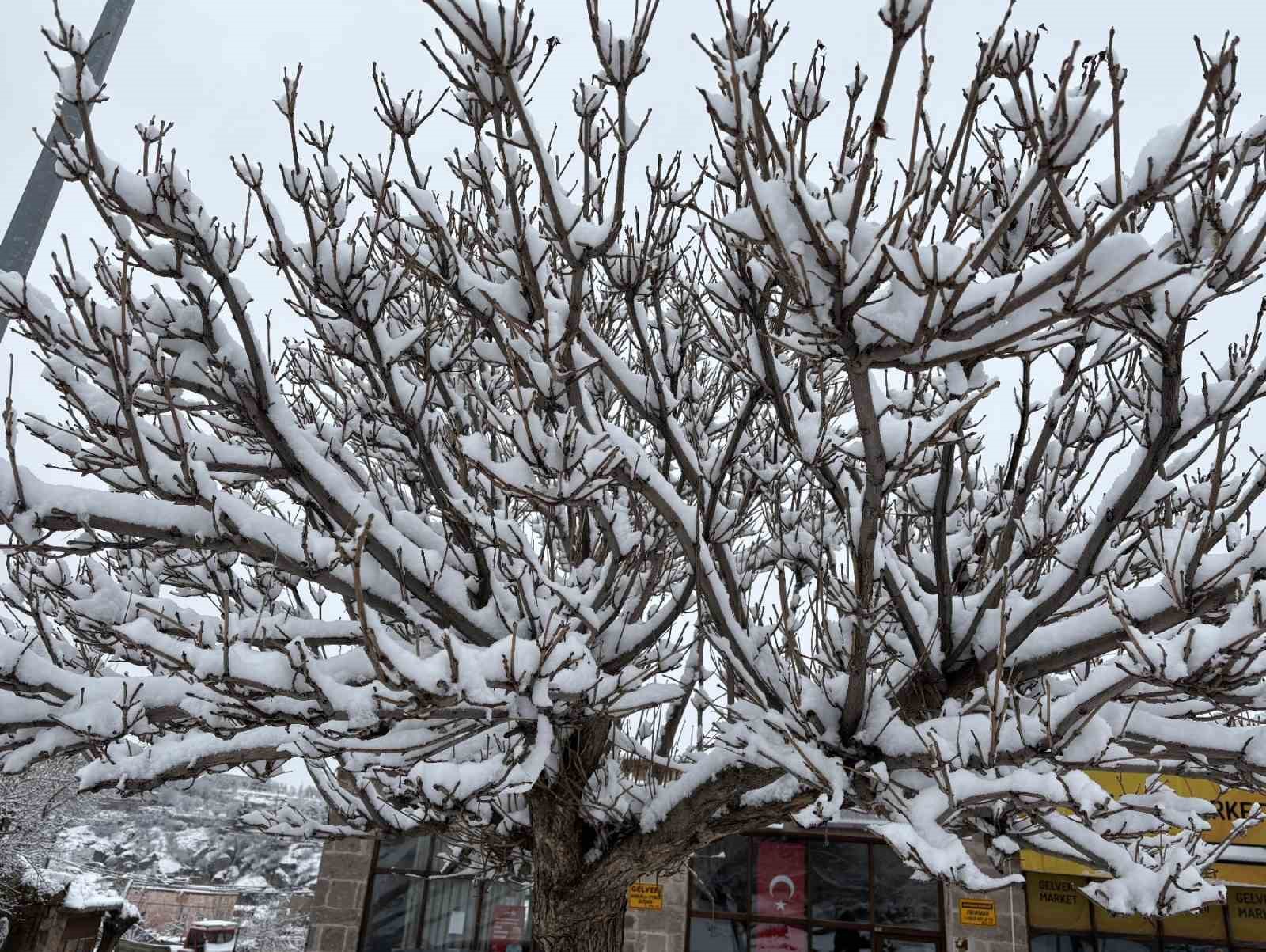 Aksaray’ın Güzelyurt ilçesi, çiçek açmış meyve ağaçları ve yağan karla ilçe beyaza büründü
