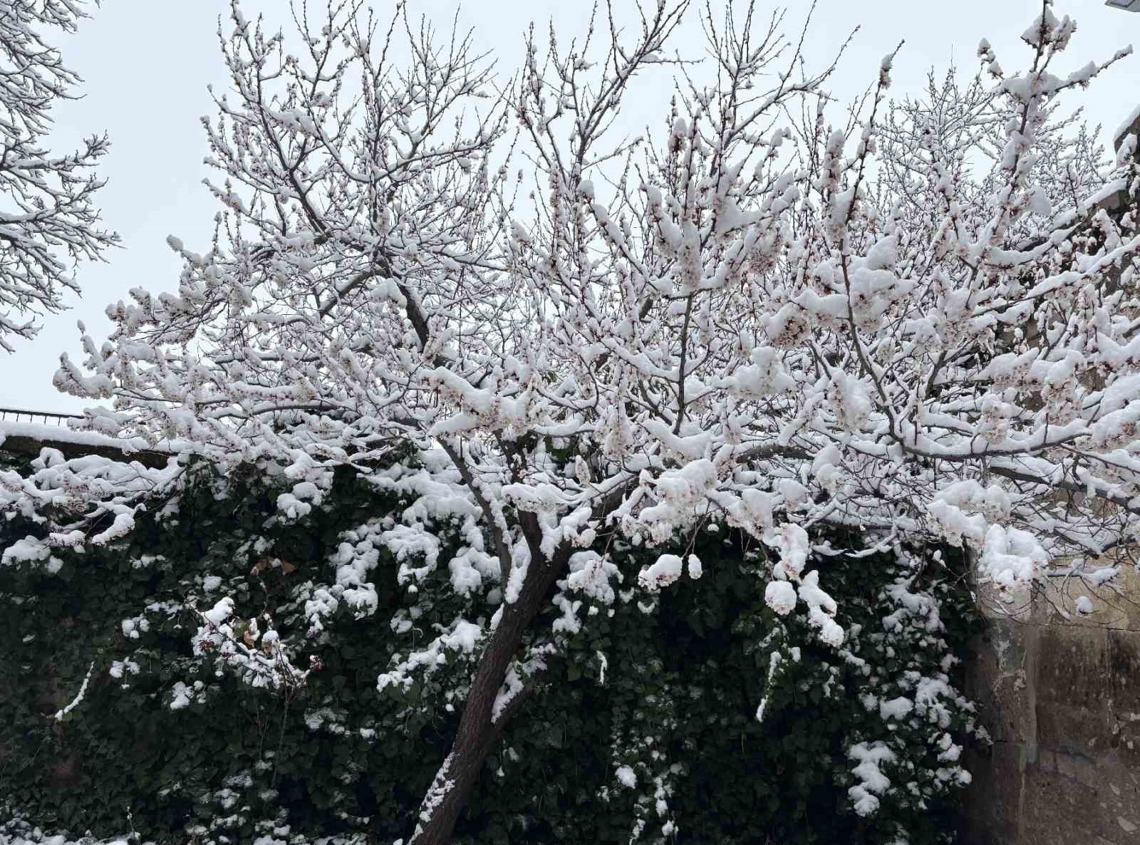 Aksaray’ın Güzelyurt ilçesi, çiçek açmış meyve ağaçları ve yağan karla ilçe beyaza büründü
