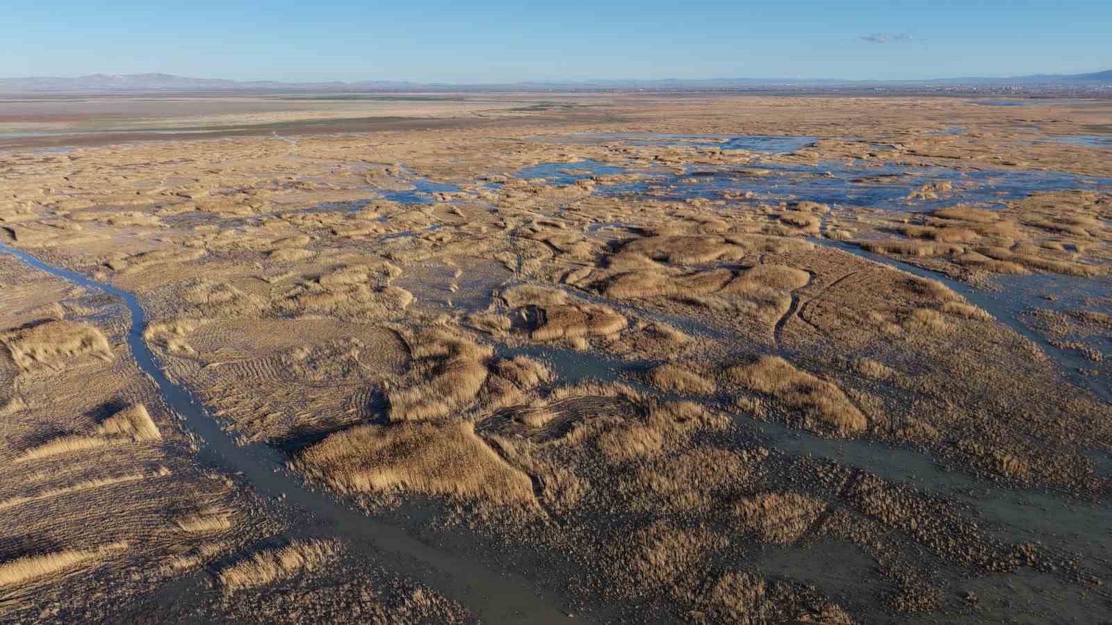 Akşehir Gölü’nde yıllardır görülmeyen oldu
