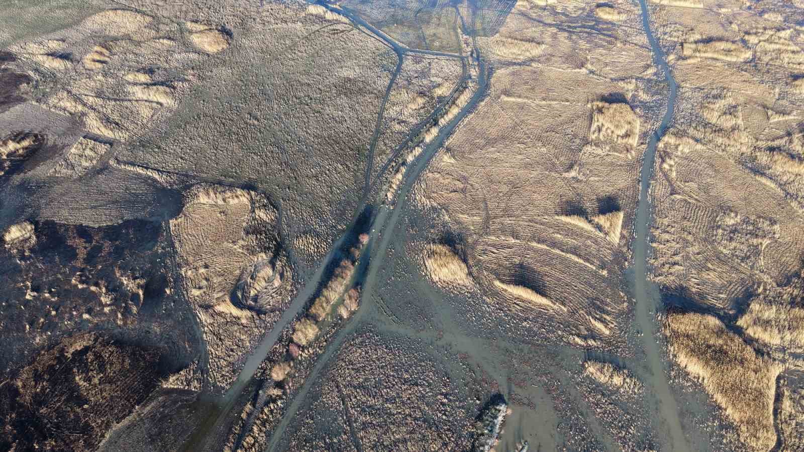 Akşehir Gölü’nde yıllardır görülmeyen oldu
