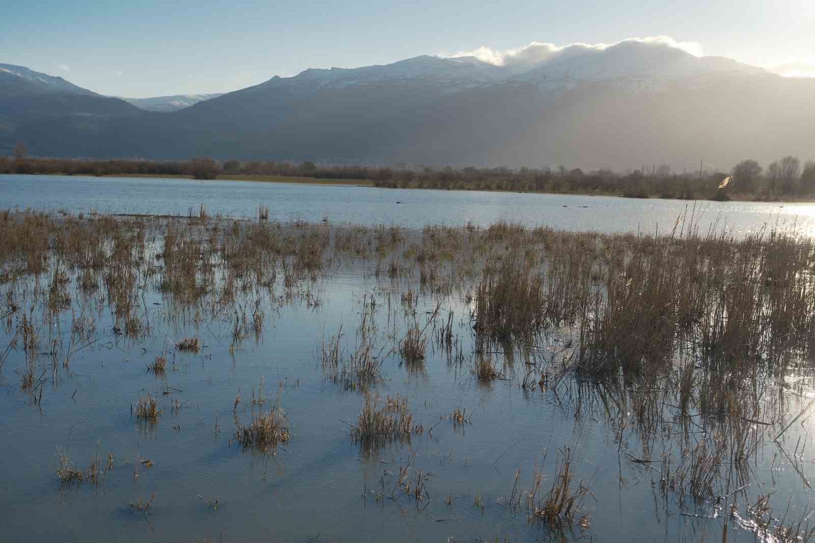 Akşehir Gölü’nde yıllardır görülmeyen oldu
