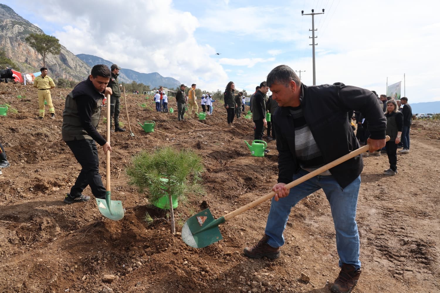 Akyaka’da yanan alan fidanlarla yeşeriyor
