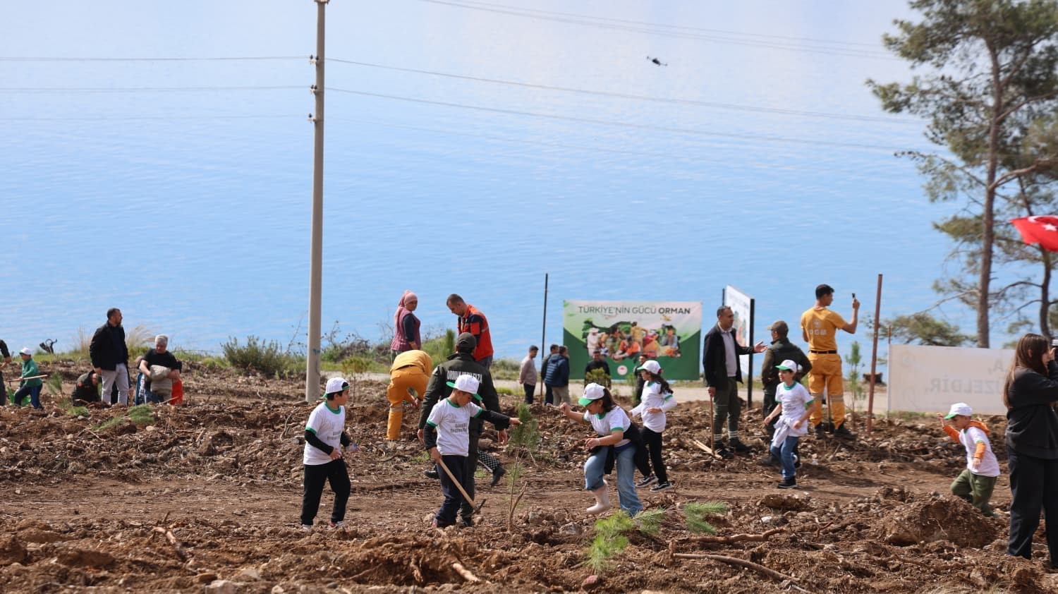 Akyaka’da yanan alan fidanlarla yeşeriyor
