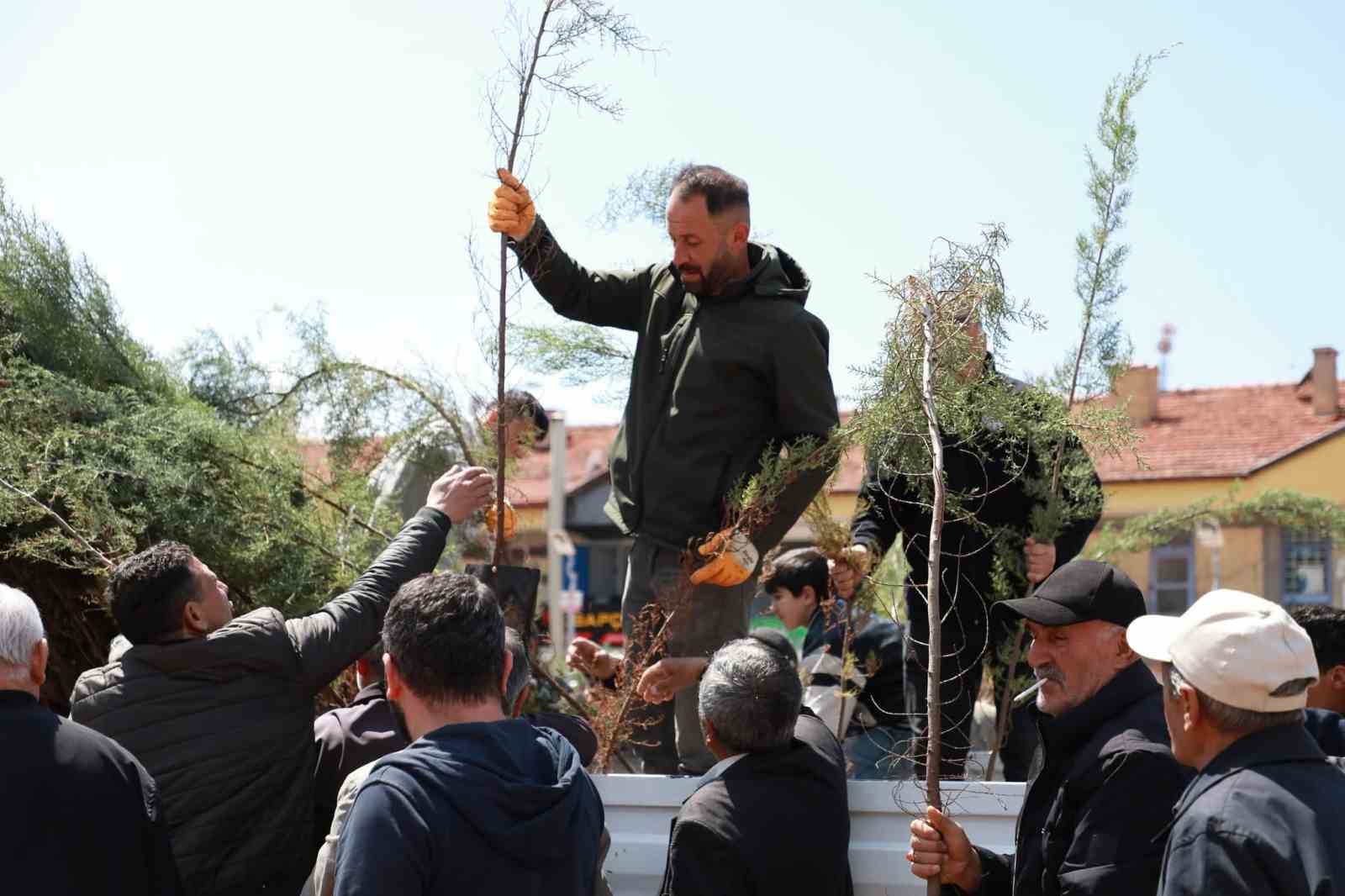 Alaca Belediyesi vatandaşlara 2 bin fidan dağıttı
