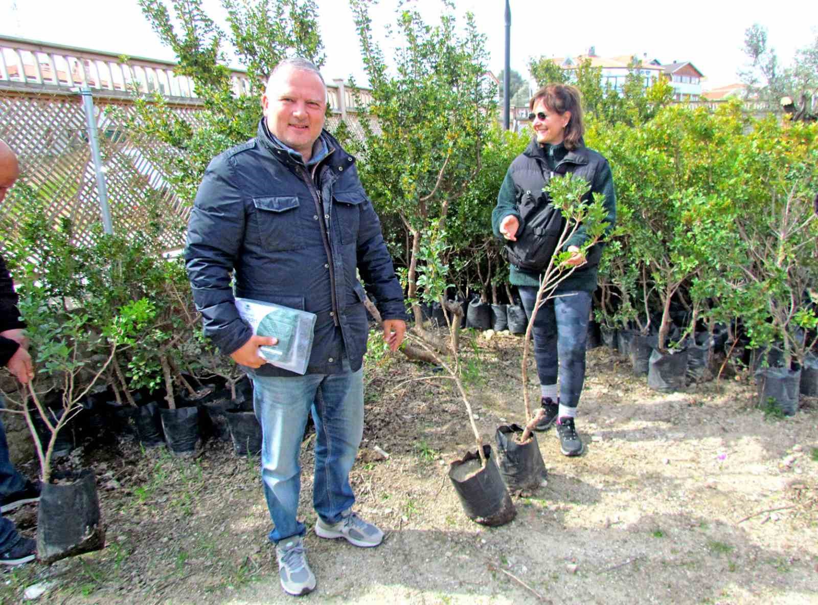 Alaçatı’da "Her Bahçeye Bir Sakız Ağacı" seferberliği
