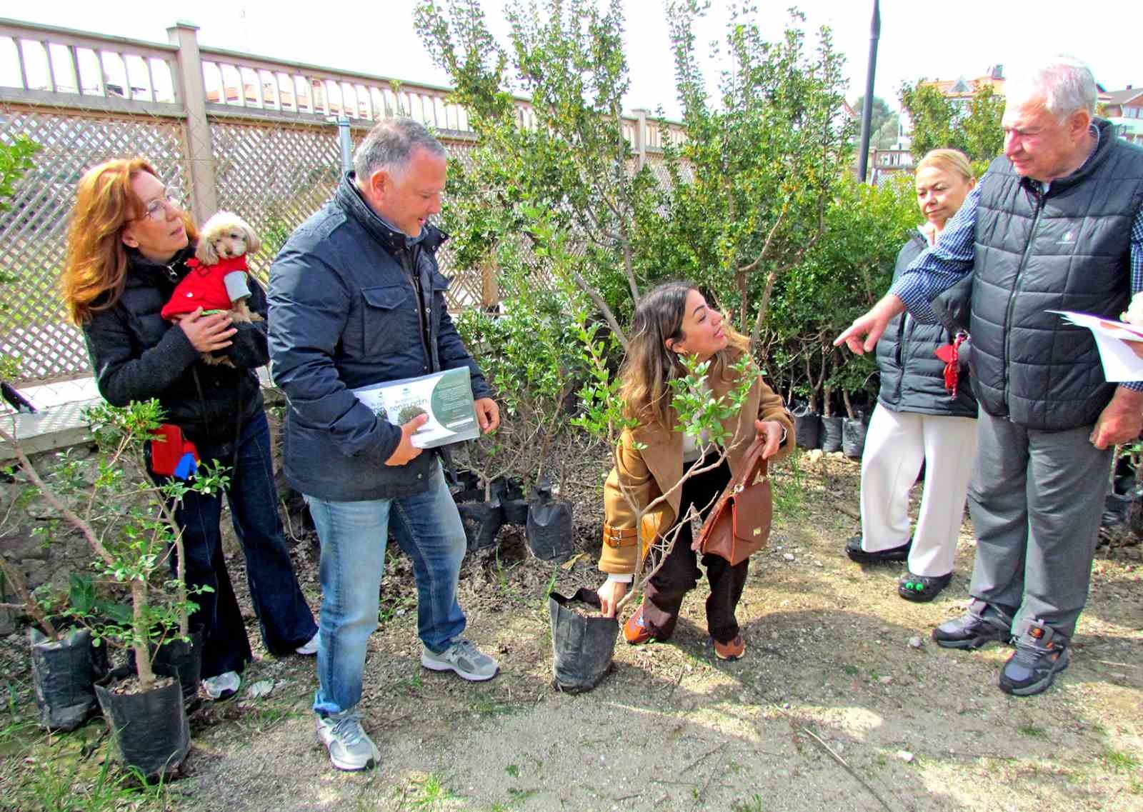 Alaçatı’da "Her Bahçeye Bir Sakız Ağacı" seferberliği
