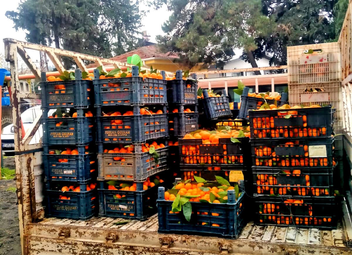 Alaçatı’dan Hatay’a dayanışma köprüsü

