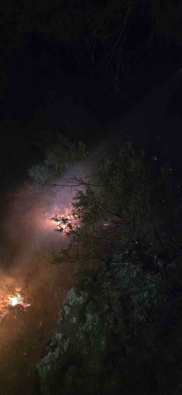 Alanya’da ormanlık alanda çıkan yangın büyümeden söndürüldü
