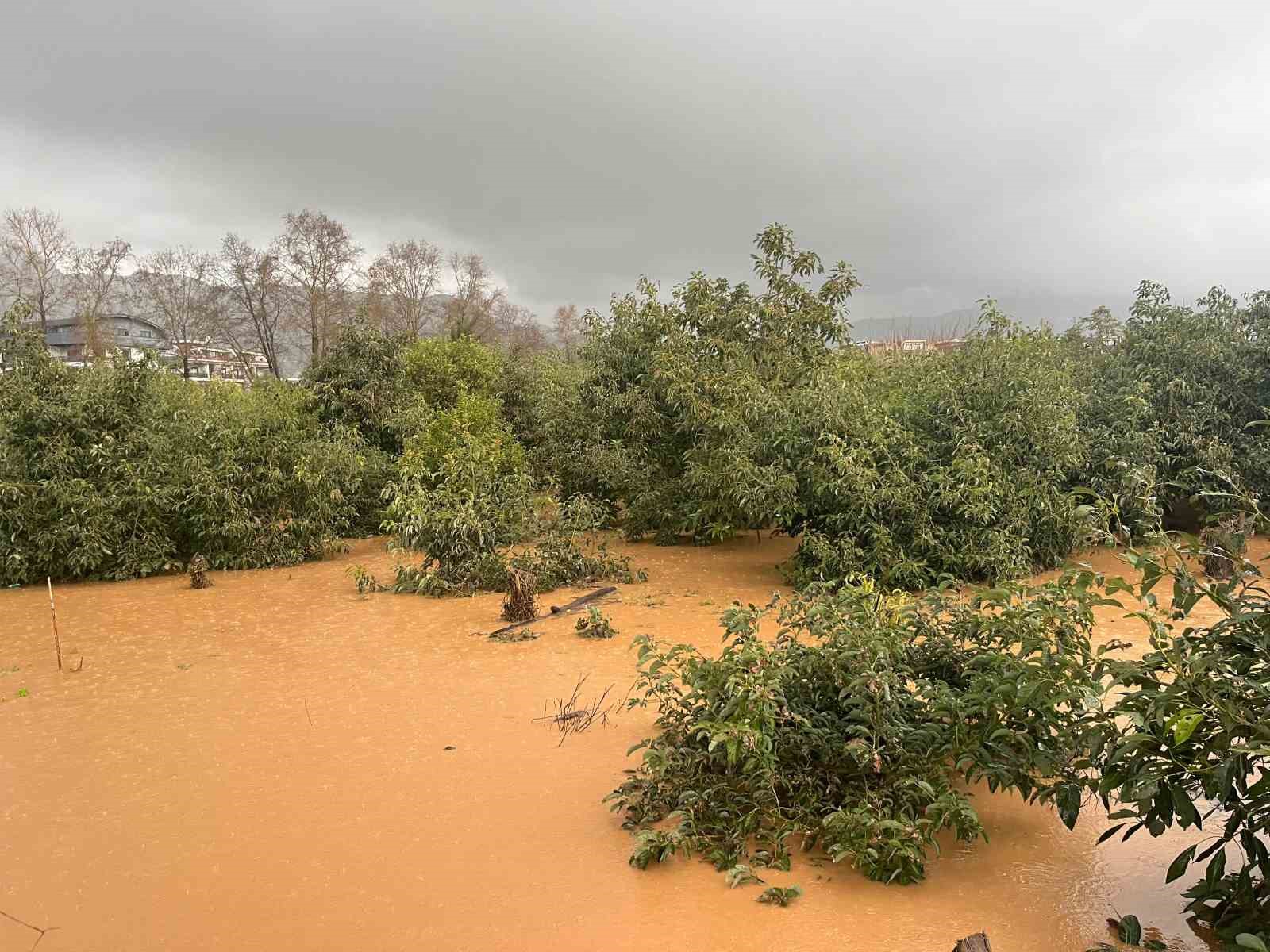 Alanya’da sağanak sebebiyle Oba Çayı taştı, binaların bahçelerini su bastı
