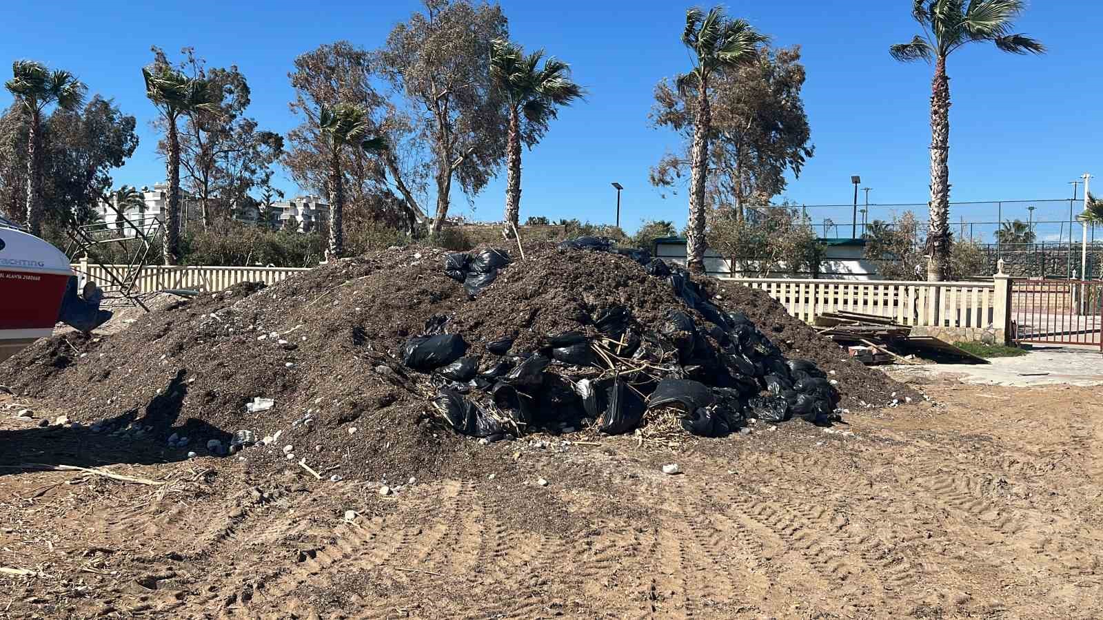 Alanya’da sahildeki siyah tabaka önce  tedirgin etti, gerçek sonradan ortaya çıktı
