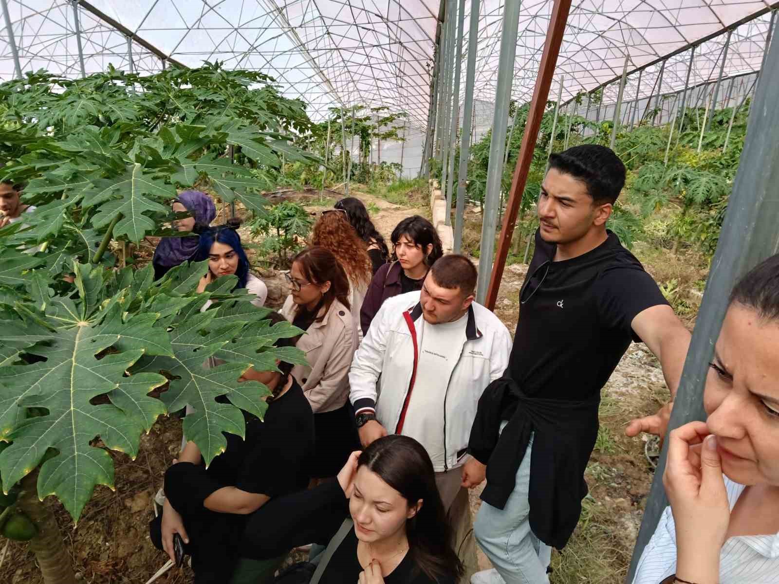 Alanya’da üniversiteli öğrencilerden tropikal bahçelere teknik gezi
Alanya’da üniversiteli öğrencilerden tropikal bahçelere teknik gezi