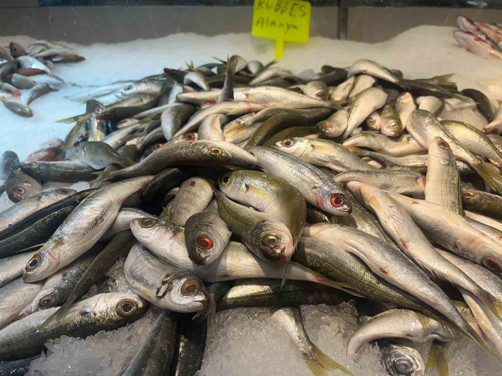 Alanyalı balıkçıdan şehit ve gazilerin ailelerine ücretsiz balık
