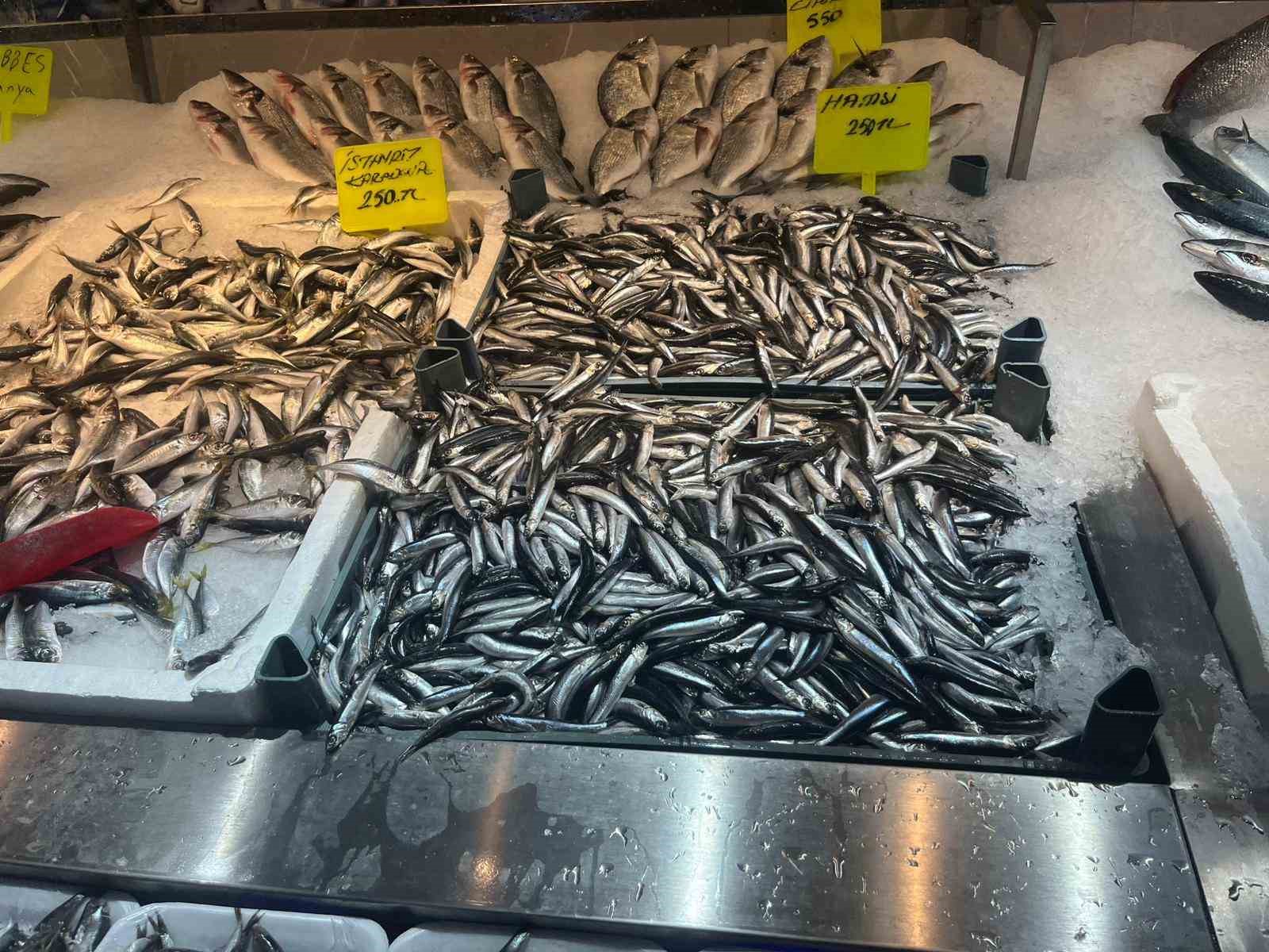 Alanyalı balıkçıdan şehit ve gazilerin ailelerine ücretsiz balık
